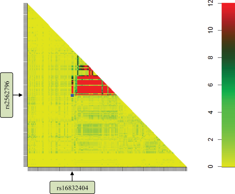 Fig. 3.