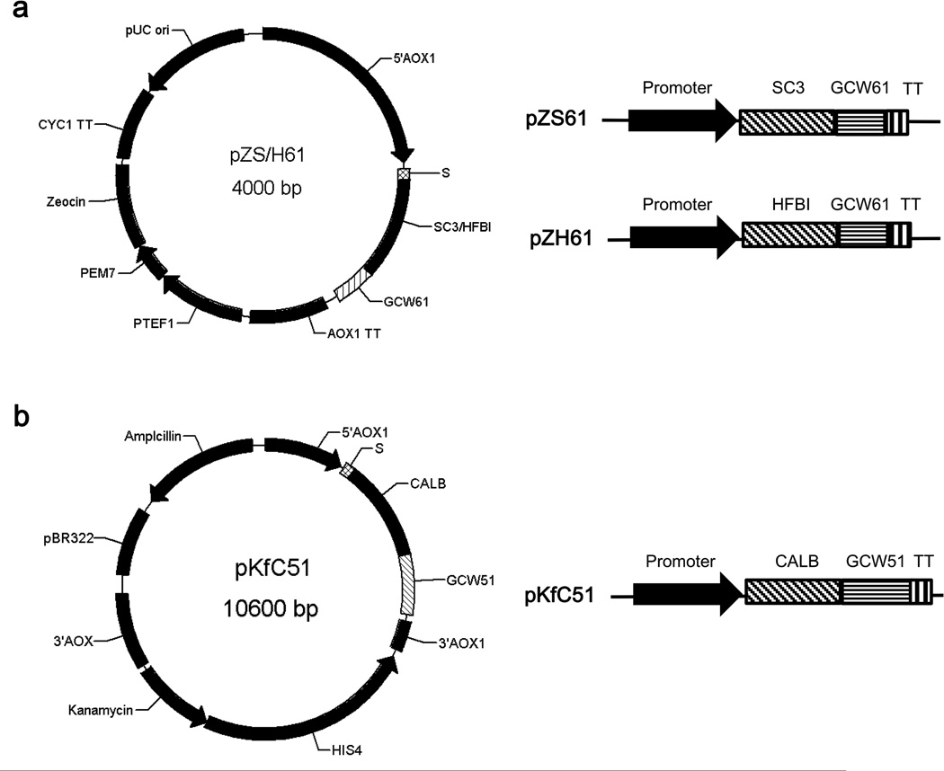 Fig.1