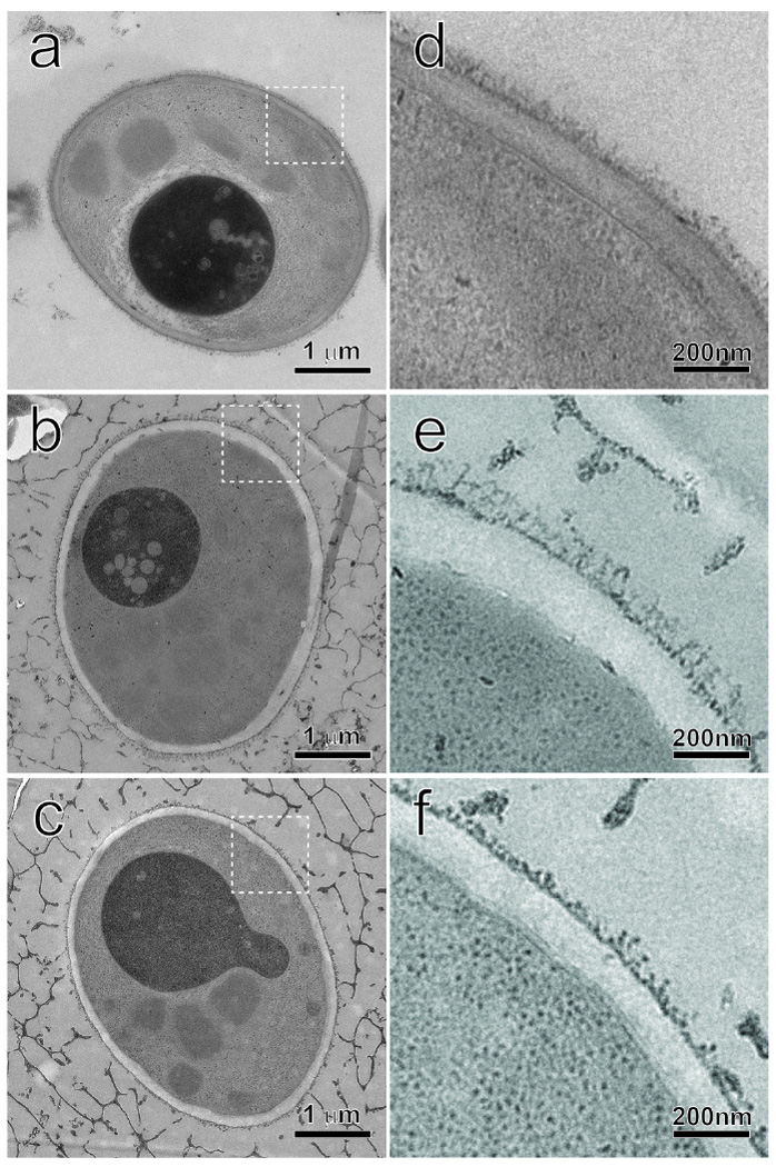 Fig.9