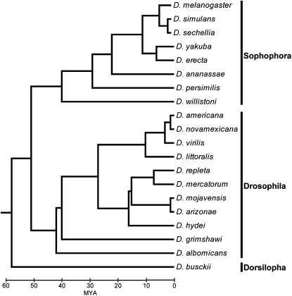 Figure 1.—