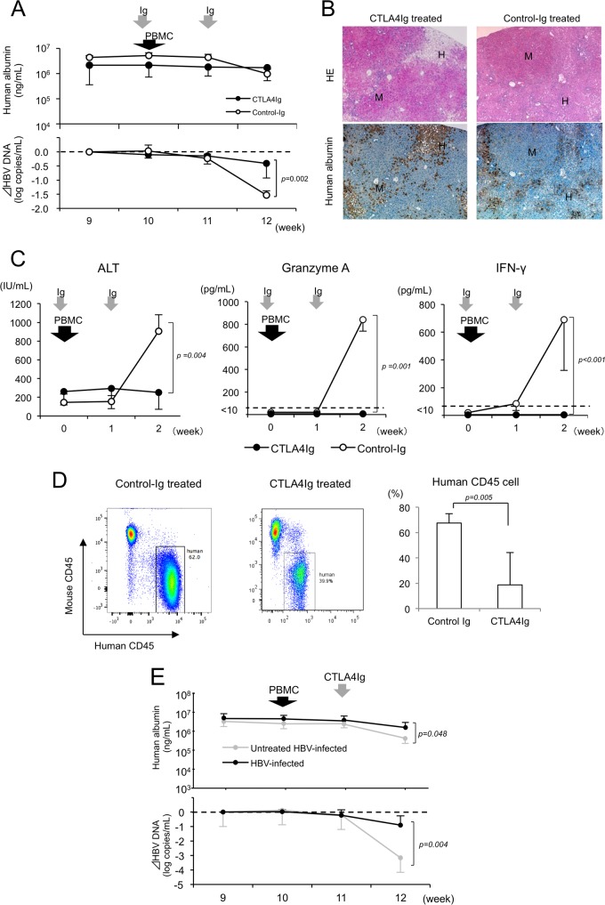 FIG 6