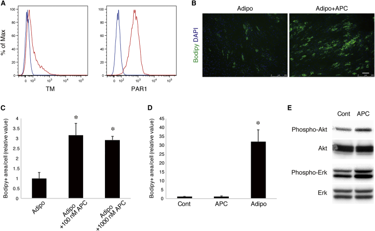 Figure 6