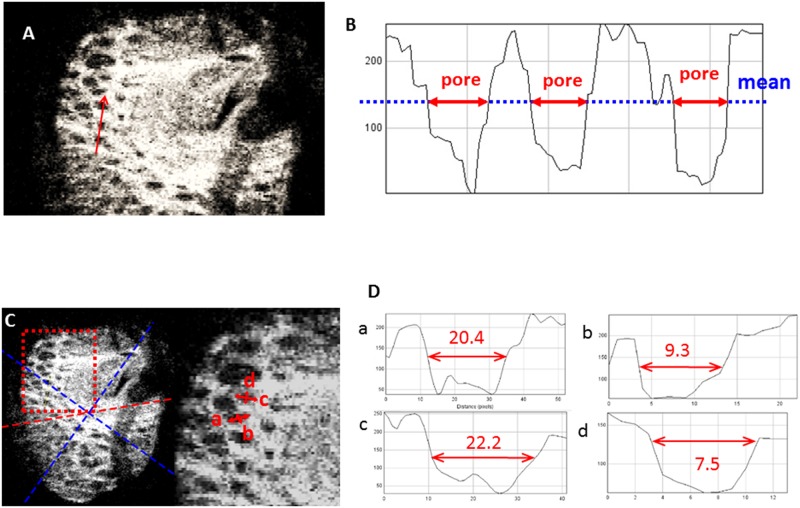 Fig 4