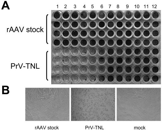 FIG. 5.