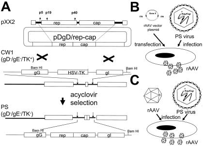 FIG. 1.