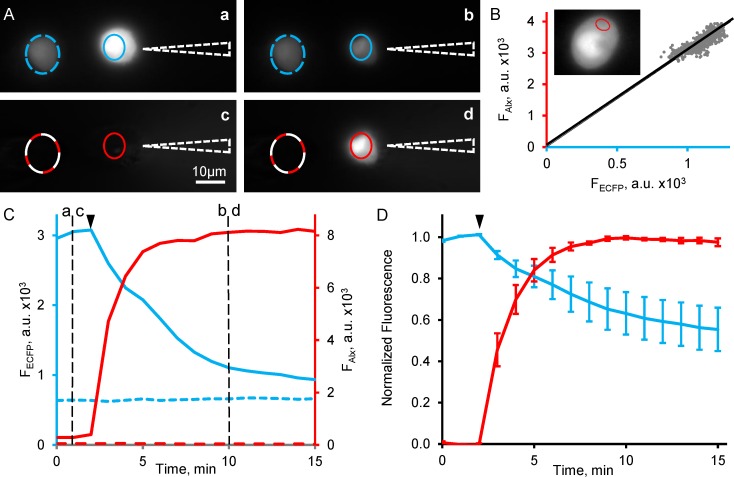 Fig 3