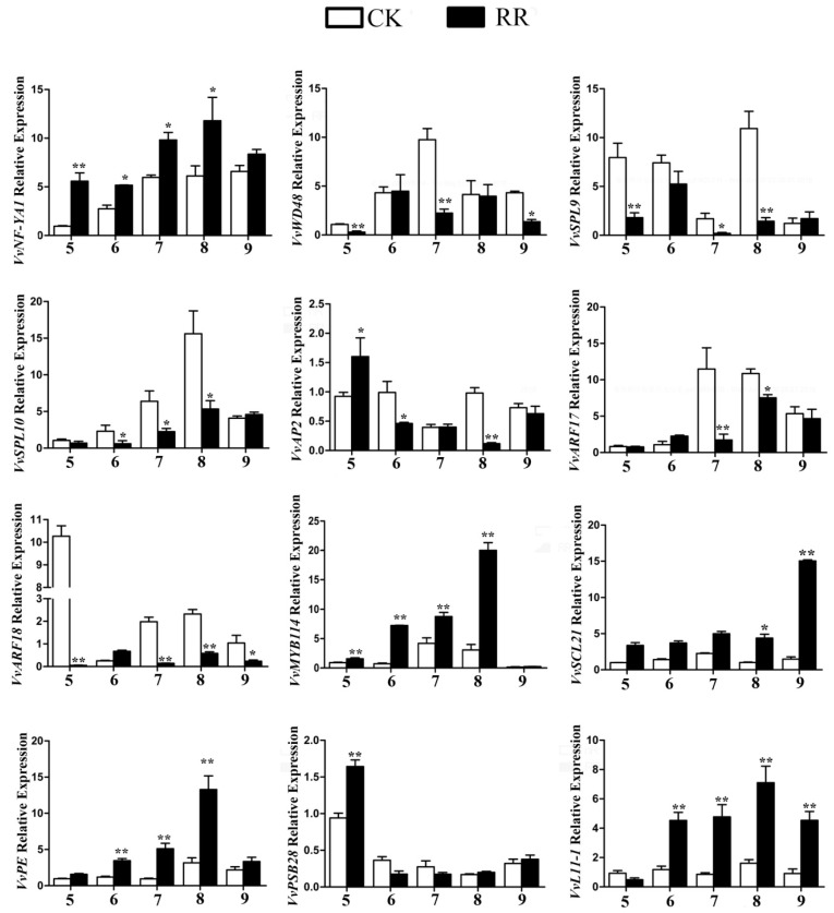 Figure 7