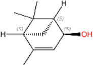 graphic file with name FPHYS_fphys-2023-1326099_wc_tfx4.jpg