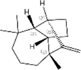 graphic file with name FPHYS_fphys-2023-1326099_wc_tfx10.jpg