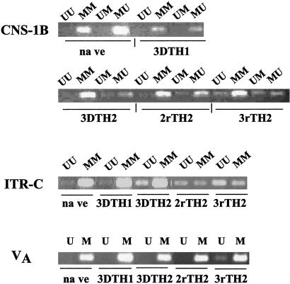 Fig 5.