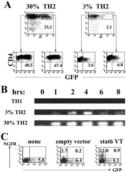 Fig 1.