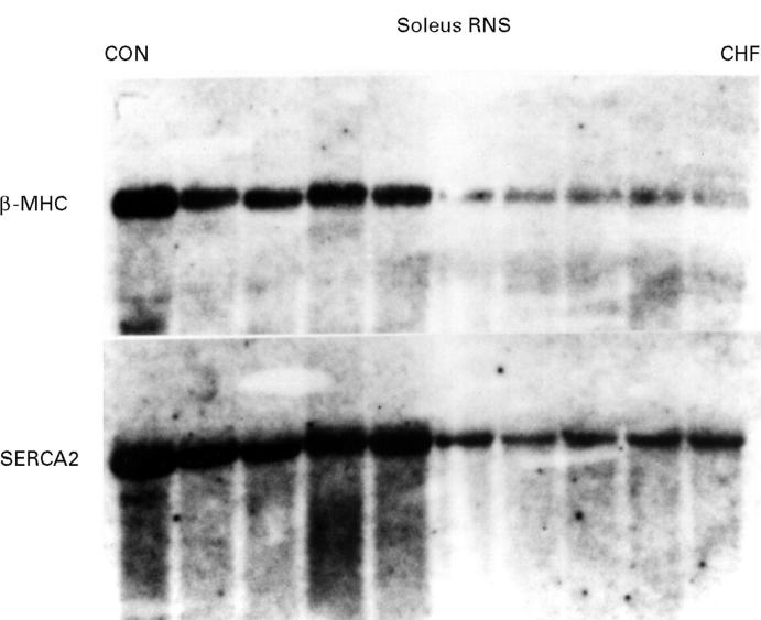 Figure 3  