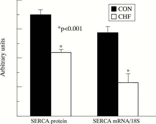 Figure 2  