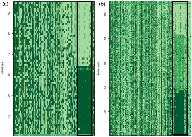 Fig. 6.