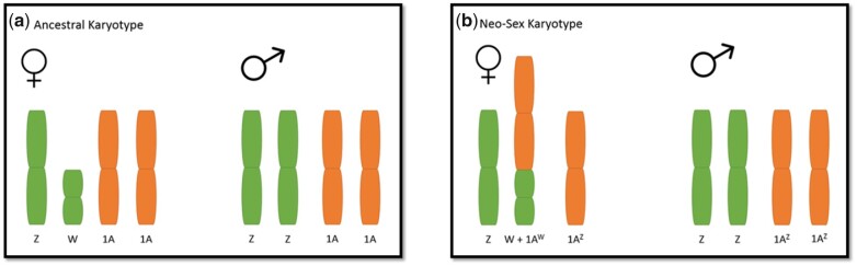 Fig. 1.