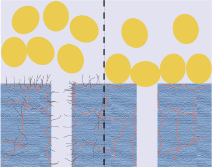 graphic file with name ao0c02439_0010.jpg