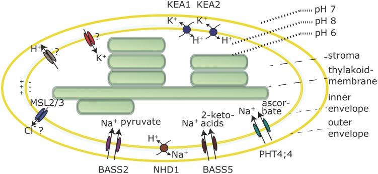 FIGURE 2