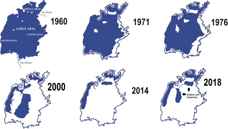 The zoocenosis of the Aral Sea: six decades of fast-paced change - PMC