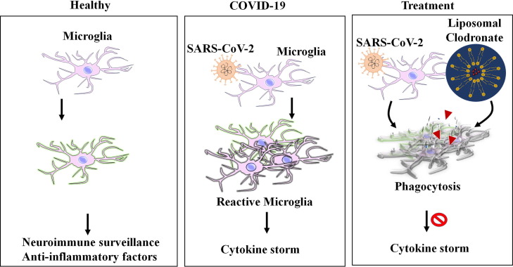 Fig. 4