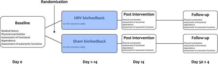 FIGURE 1