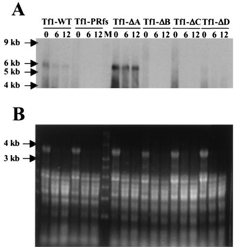 FIG. 6.