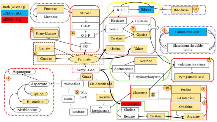 Figure 15