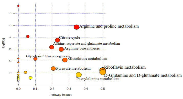 Figure 13