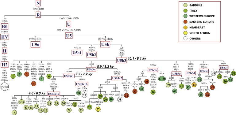 Figure 1