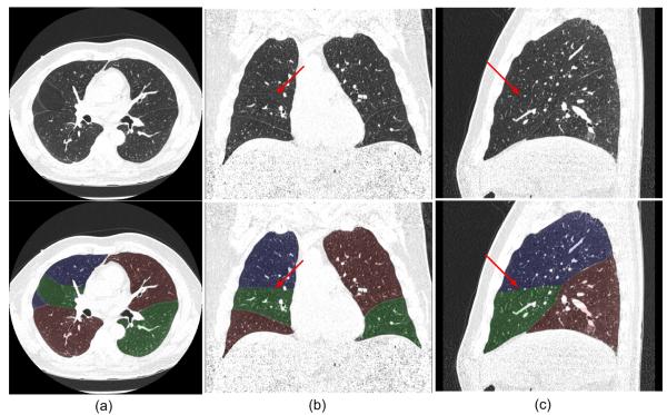 Fig. 8