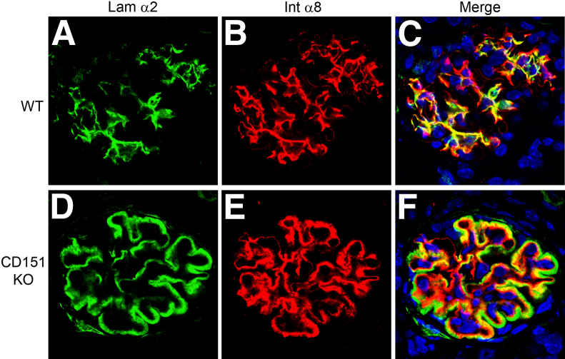 Figure 5