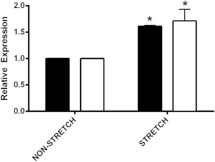 Figure 6