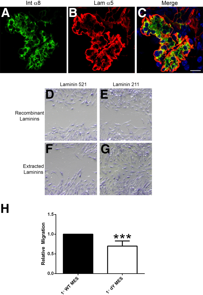 Figure 10