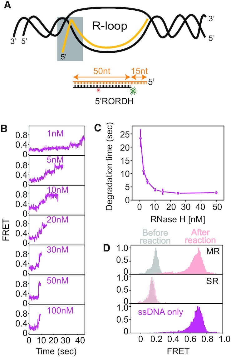 Figure 7.