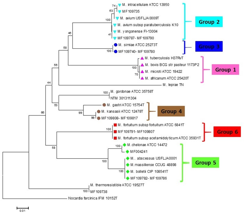 FIGURE 2