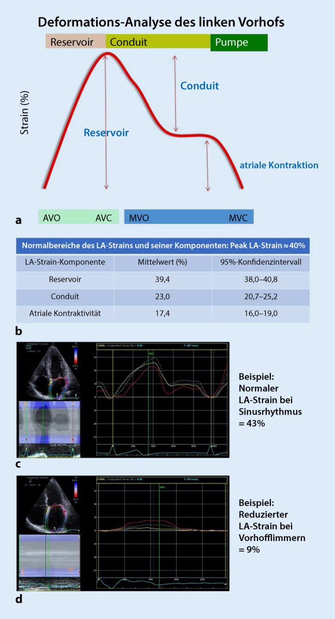 graphic file with name 12181_2021_509_Fig6_HTML.jpg