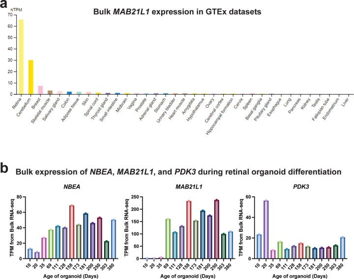 Extended Data Figure 6 |