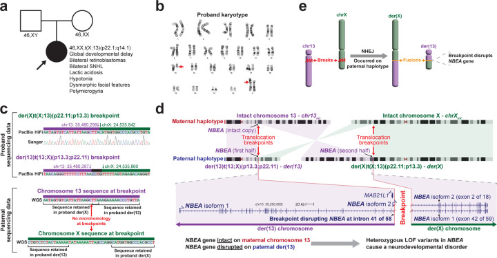 Figure 2 |