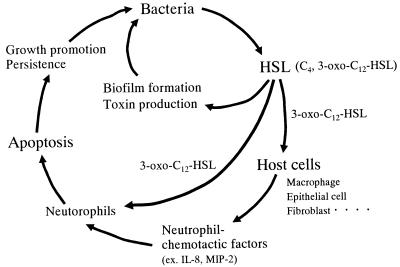 FIG. 8.