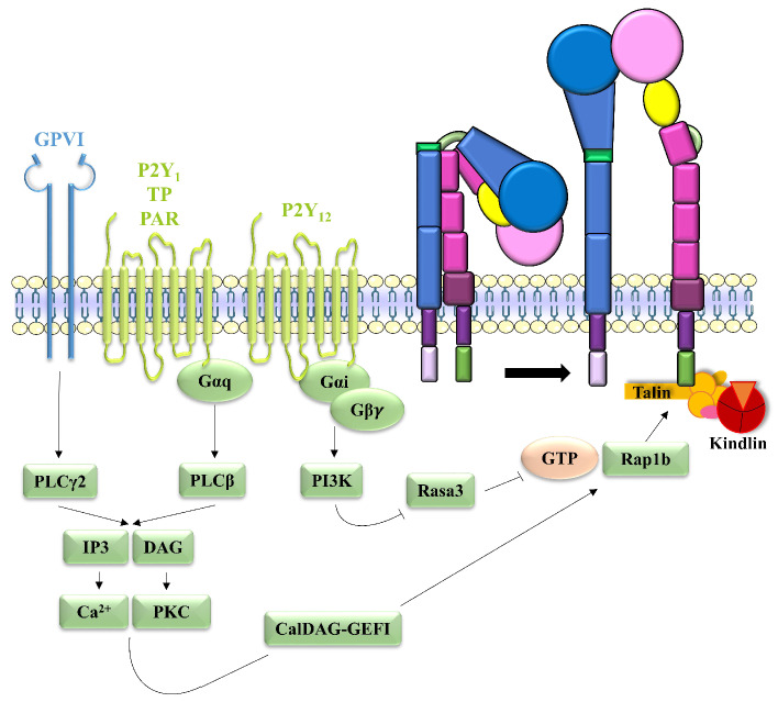 Figure 2.