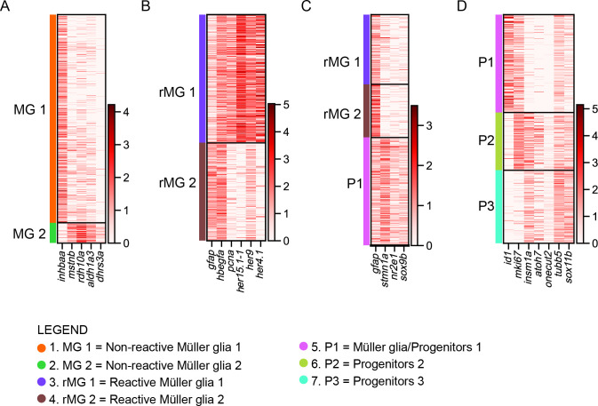 Figure 3—figure supplement 1.