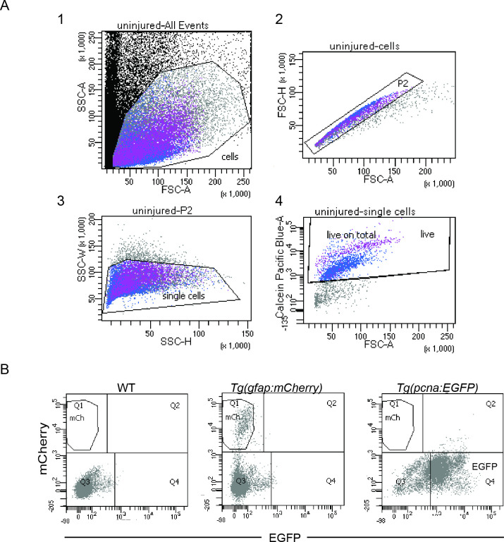 Figure 1—figure supplement 3.