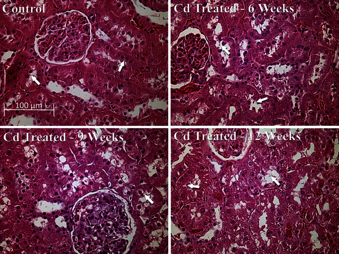 Fig. 3