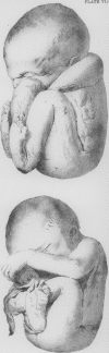 1002-19