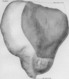 1002-13