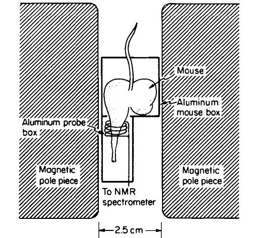 FIG. 1