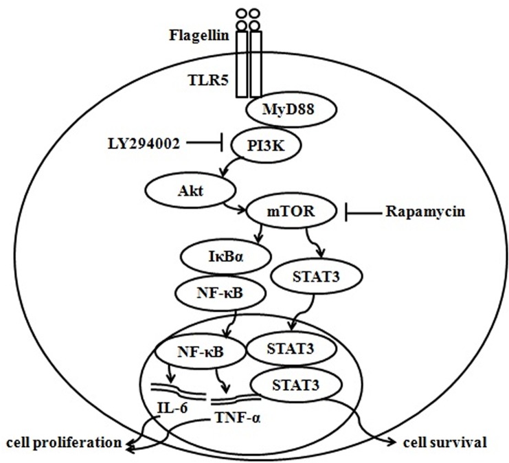 Fig 9