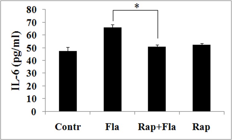 Fig 8