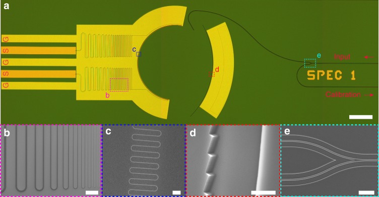 Fig. 2