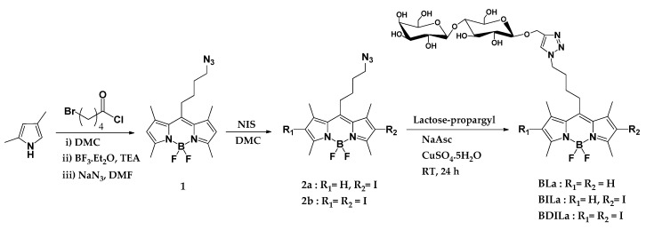 Scheme 1