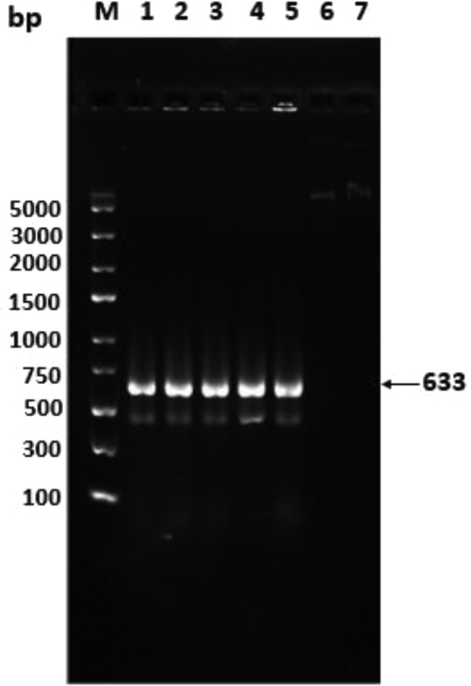 Figure 1